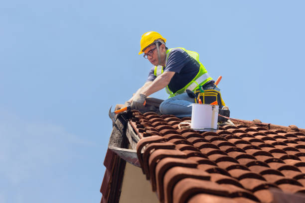 Best Roof Repair  in USA